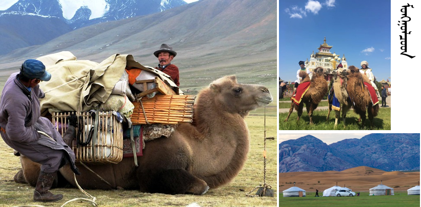 Mongolian nomads