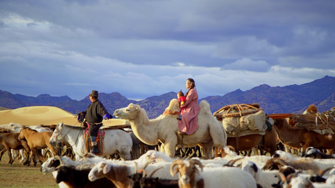 Migration and transport