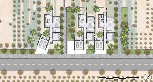 Community masterplan with homes and desert-adapted landscape bands